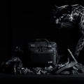 20L Black Leopard Tactical Lunch Box